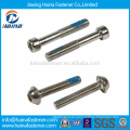 Stock Self Locking Stainless Steel Hex Socket Nylok Screws with Blue Glue